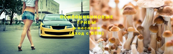 ешки Белокуриха