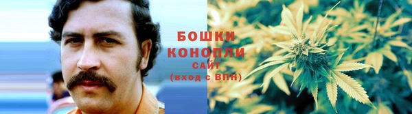 ешки Белокуриха