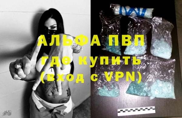 ешки Белокуриха
