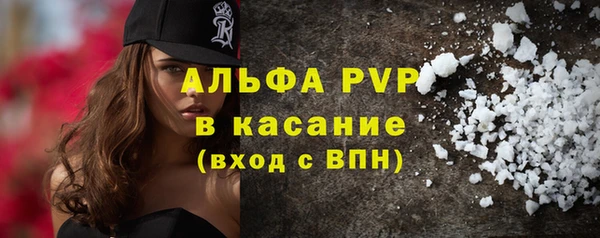 ешки Белокуриха