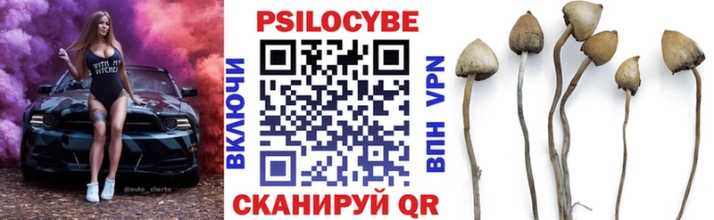 наркотики  KRAKEN ТОР  Галлюциногенные грибы Magic Shrooms  Крымск 
